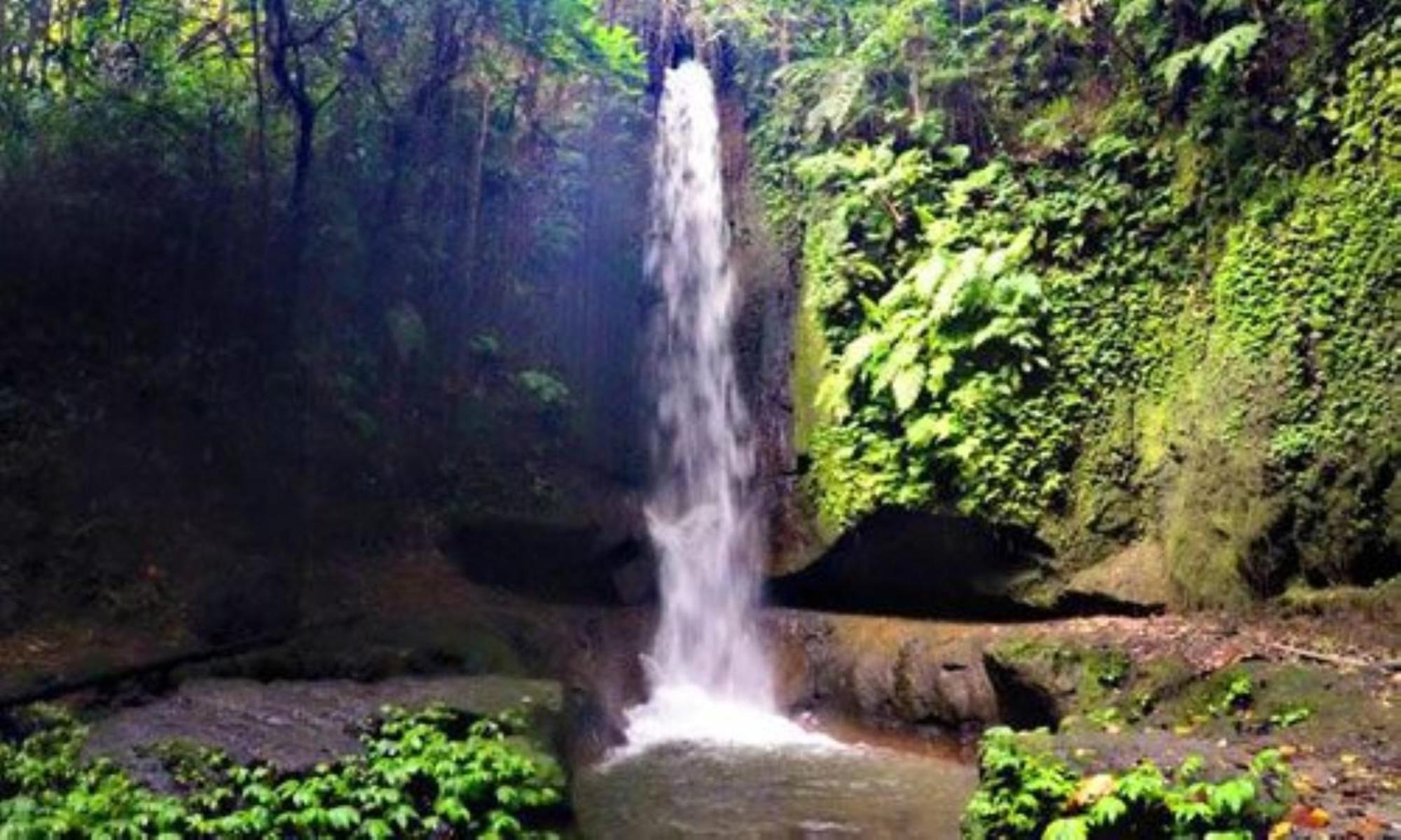Aksari Luxury Resort & Spa Ubud By Ini Vie Hospitality Tegallalang  Kültér fotó